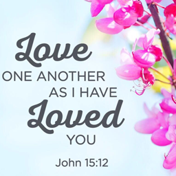 Love One Another