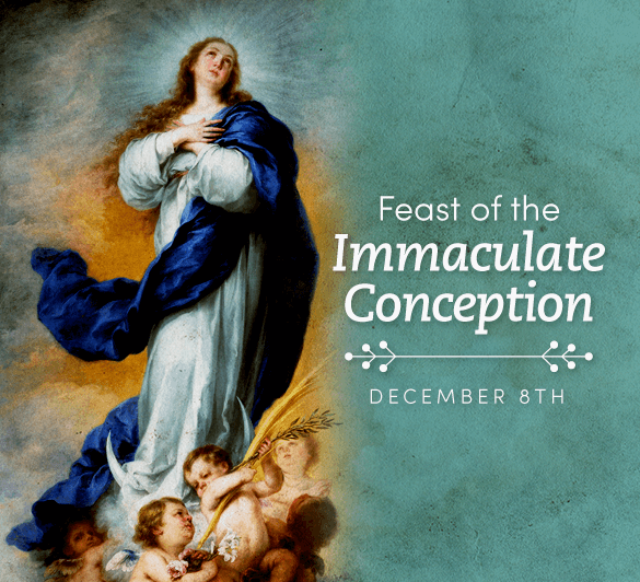 immaculate-conception Welcome